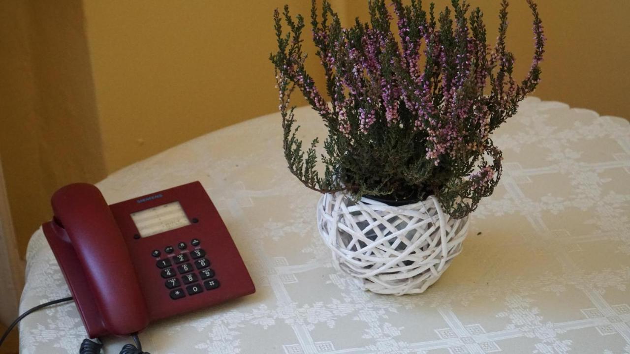 Bed and Breakfast Bks Stal Olimp Бельско-Бяла Экстерьер фото